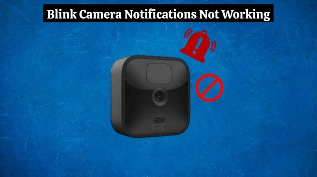 Blink Camera Notifications Not Working