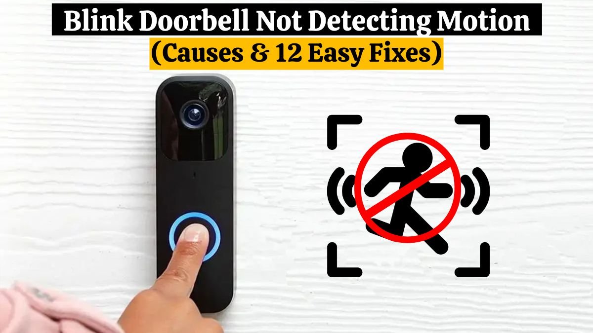 Blink Doorbell Not Detecting Motion