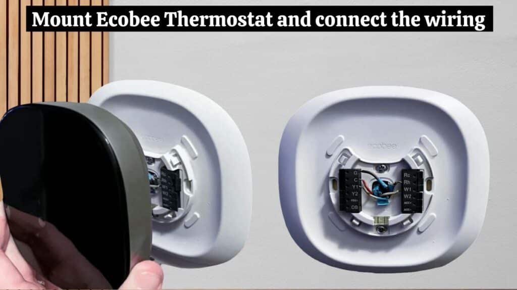 Mount Ecobee Thermostat and connect the wiring