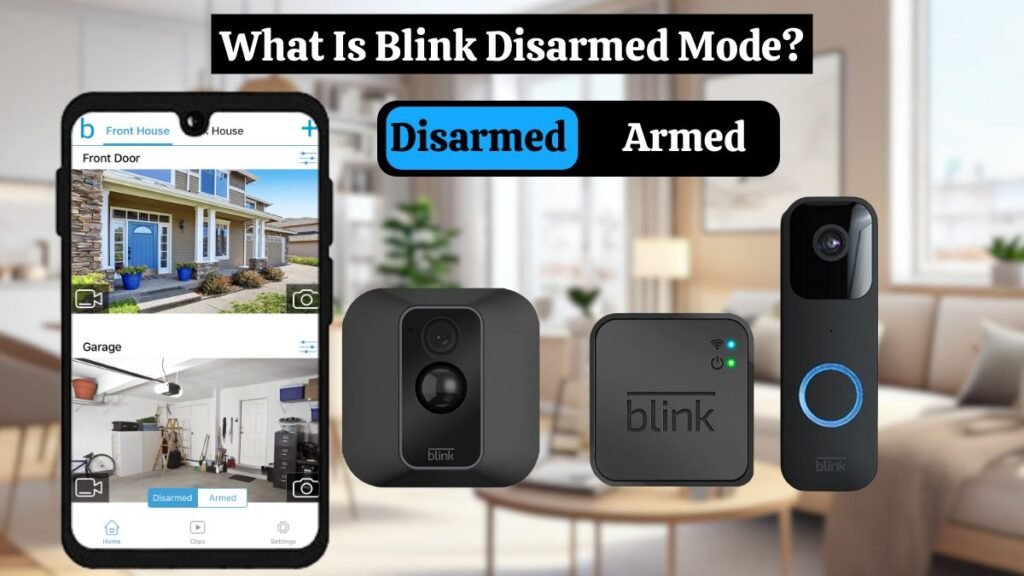 Blink Disarmed Mode